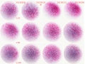 Thumbnail for version as of 15:58, 16 April 2013