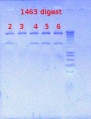Thumbnail for version as of 16:46, 3 December 2012