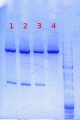 Thumbnail for version as of 16:15, 11 October 2013