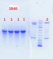 Thumbnail for version as of 11:31, 6 September 2013
