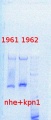 Thumbnail for version as of 16:58, 8 January 2014