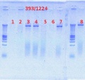 Thumbnail for version as of 16:10, 27 July 2012