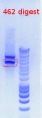 Thumbnail for version as of 16:14, 27 December 2011