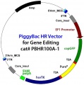 Thumbnail for version as of 12:23, 5 December 2012