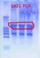 Thumbnail for version as of 15:22, 21 March 2012