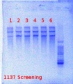 Thumbnail for version as of 15:20, 16 July 2012