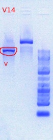 1186 v digest 5.22.2012.JPG