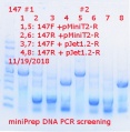 Thumbnail for version as of 23:41, 19 November 2018