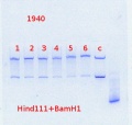 Thumbnail for version as of 14:43, 20 February 2014