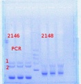 Thumbnail for version as of 13:53, 17 April 2014
