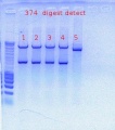 Thumbnail for version as of 17:35, 17 November 2011