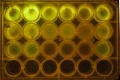 Thumbnail for version as of 13:25, 17 October 2014