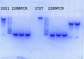 Thumbnail for version as of 17:20, 28 July 2014