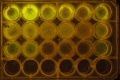 Thumbnail for version as of 11:14, 17 October 2014