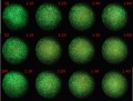 Thumbnail for version as of 14:55, 8 December 2011