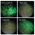 Thumbnail for version as of 10:42, 17 April 2014