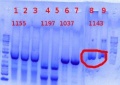 Thumbnail for version as of 10:34, 7 June 2012