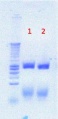 Thumbnail for version as of 14:38, 18 July 2012