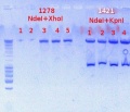 Thumbnail for version as of 08:24, 11 October 2012