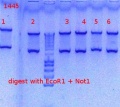 Thumbnail for version as of 15:43, 14 November 2012