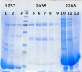 Thumbnail for version as of 13:25, 7 August 2014