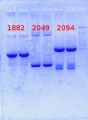 Thumbnail for version as of 14:26, 28 March 2014