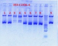 Thumbnail for version as of 13:48, 29 August 2012