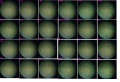 Thumbnail for version as of 18:54, 8 October 2014