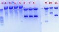 Thumbnail for version as of 14:14, 15 August 2011