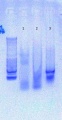Thumbnail for version as of 17:39, 29 September 2016