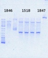 Thumbnail for version as of 15:20, 1 November 2013