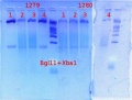 Thumbnail for version as of 12:10, 11 October 2012