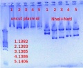 Thumbnail for version as of 10:51, 19 October 2012