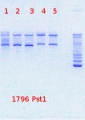 Thumbnail for version as of 10:07, 18 July 2013