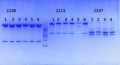 Thumbnail for version as of 11:22, 31 December 2014
