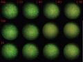 Thumbnail for version as of 16:47, 10 January 2012