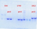 Thumbnail for version as of 10:57, 29 August 2013