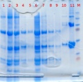 Thumbnail for version as of 10:14, 6 March 2012