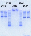 Thumbnail for version as of 16:17, 25 October 2013