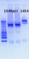 Thumbnail for version as of 15:04, 8 March 2013