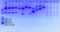 Thumbnail for version as of 15:37, 10 April 2018