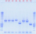 Thumbnail for version as of 17:53, 26 October 2010