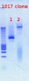 Thumbnail for version as of 14:34, 20 April 2012