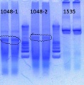 Thumbnail for version as of 15:03, 8 March 2013