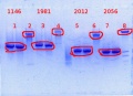 Thumbnail for version as of 12:38, 21 February 2014
