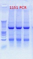 Thumbnail for version as of 08:48, 10 July 2012