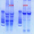Thumbnail for version as of 18:41, 18 January 2013