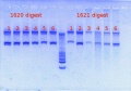 Thumbnail for version as of 16:49, 24 January 2013