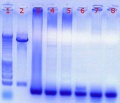Thumbnail for version as of 17:12, 29 June 2011