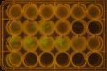 Thumbnail for version as of 12:21, 22 August 2014